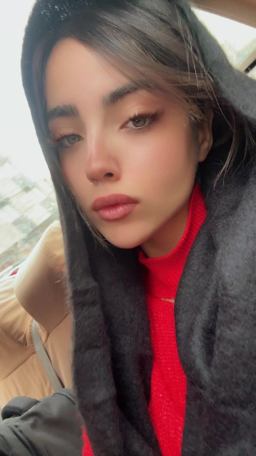 @Saqarnorouzi