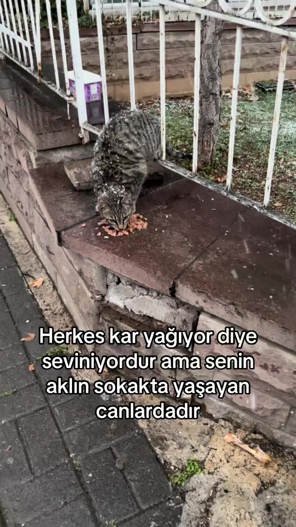 @MUSTAFA38
