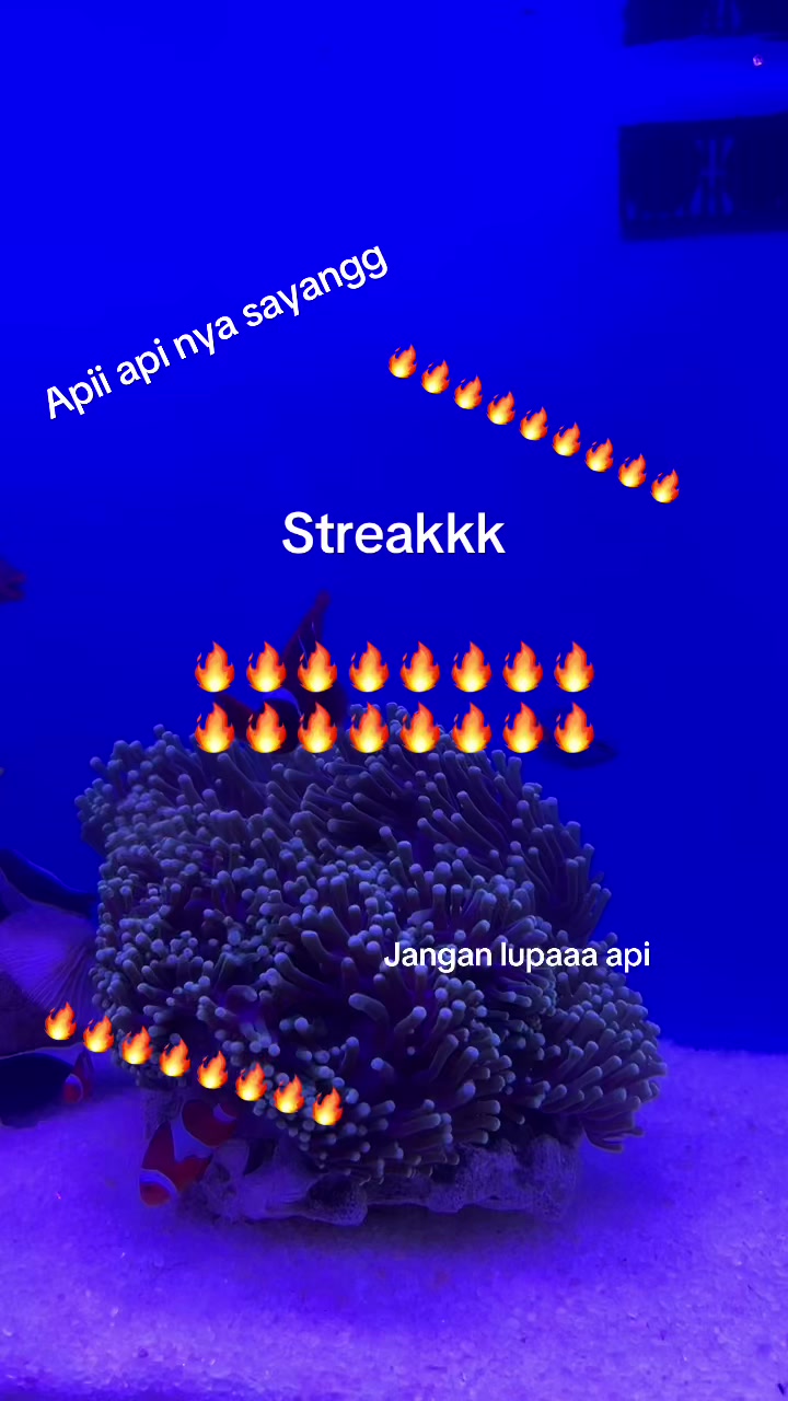 @Abayy Mc