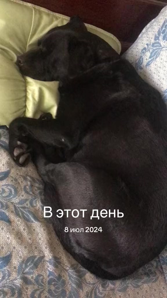 @Oksana