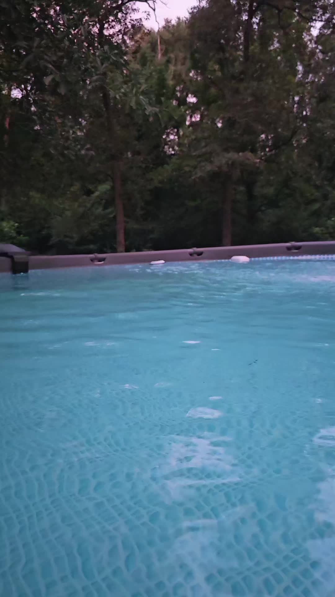 @SimplyCady