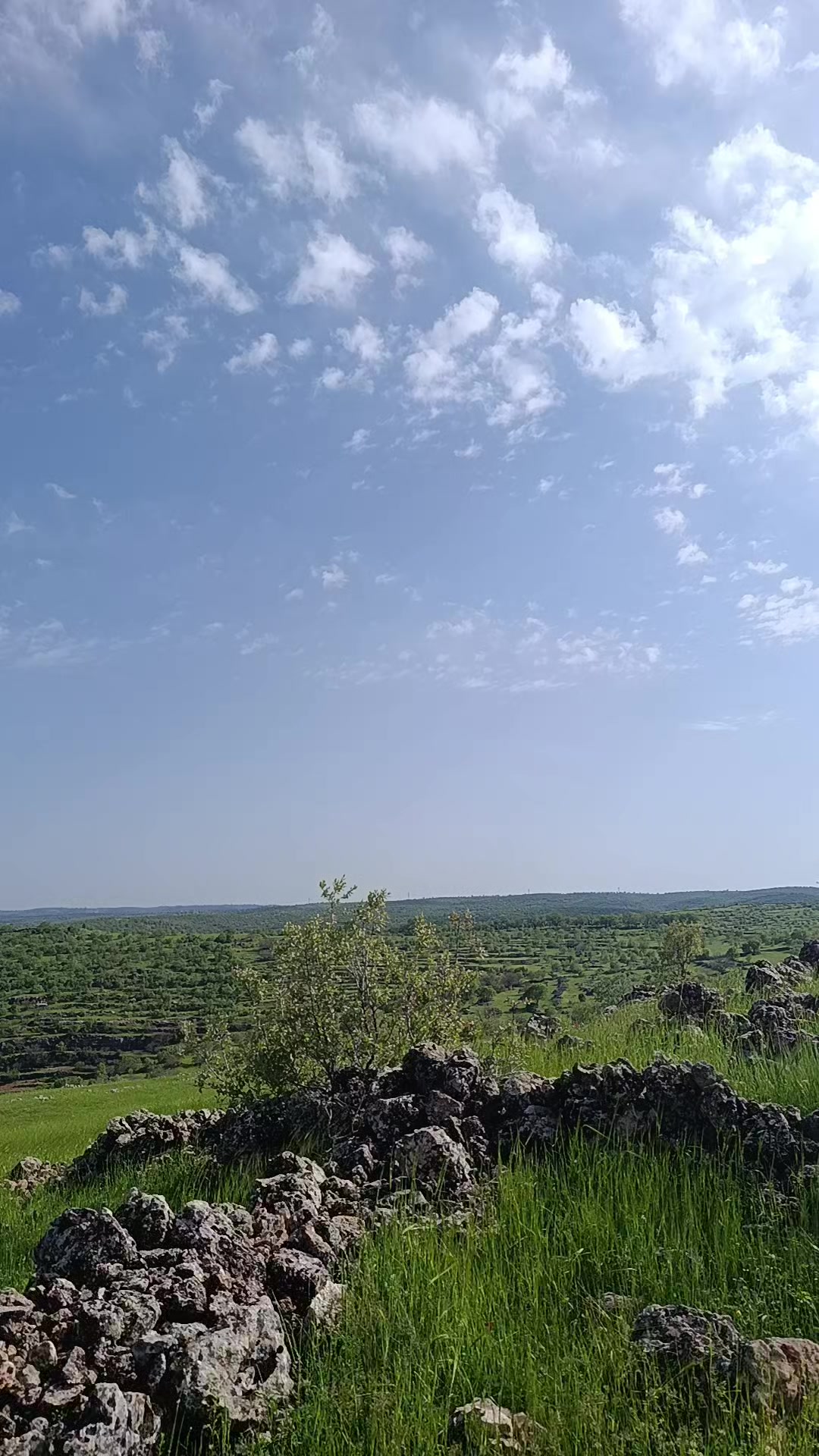 @hamza.tek