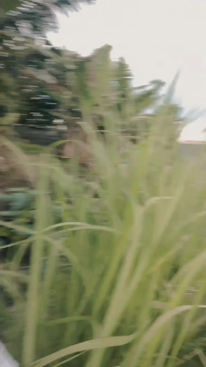 @N