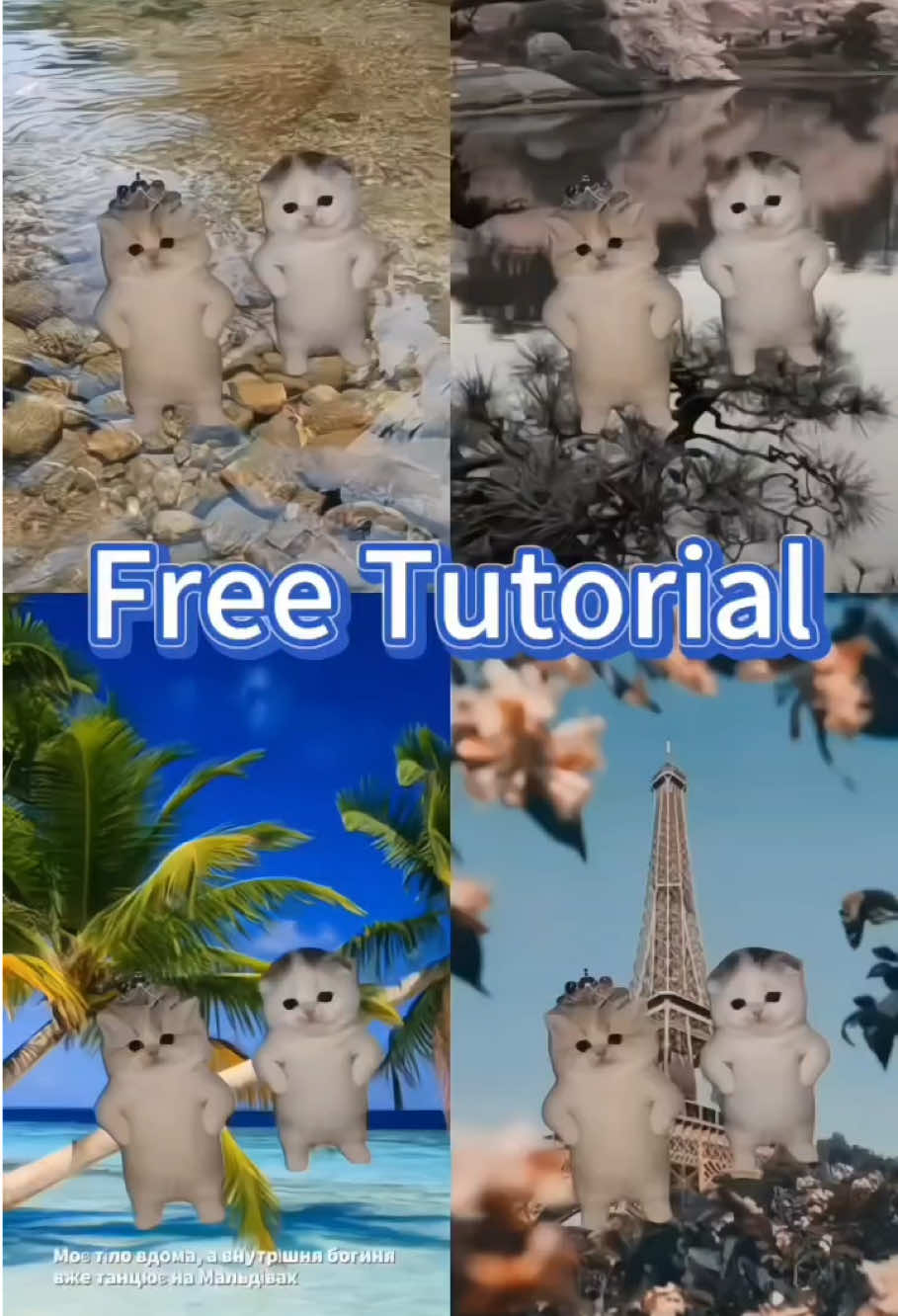 @xbus2604103036
