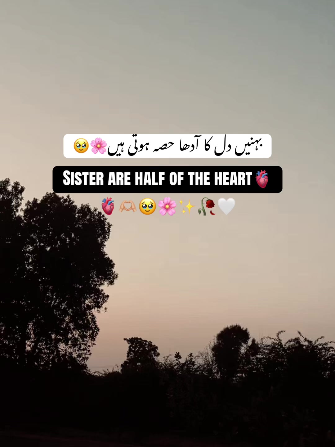 @𝘏 𝘈 𝘕 𝘡 𝘈 𝘓 𝘈 🐼 ✓