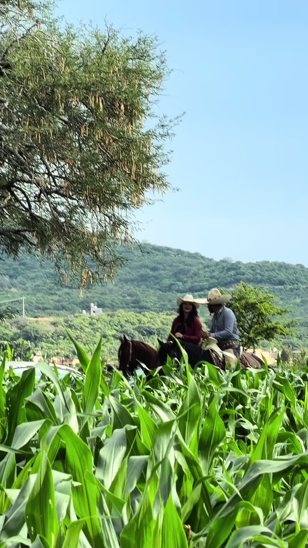 @Yo Soy Casandra 🐮🌽