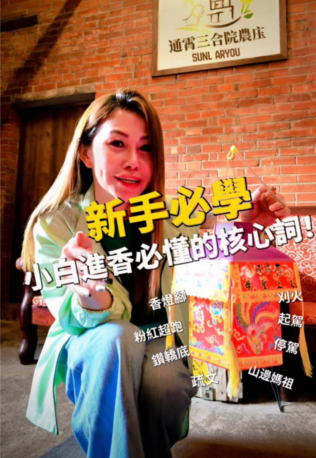 @義消梅子/健康醫美/吳宗憲林志玲林志穎代言電商加盟/微生物