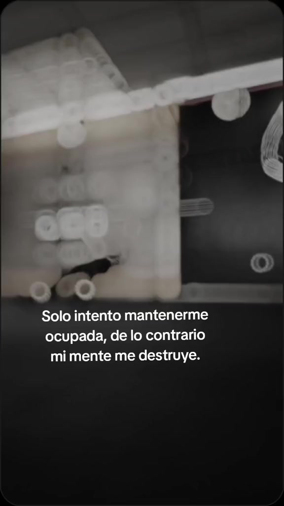 @Gabriela Torrico Tor