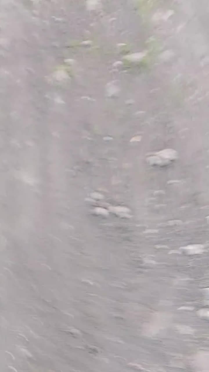 @дима