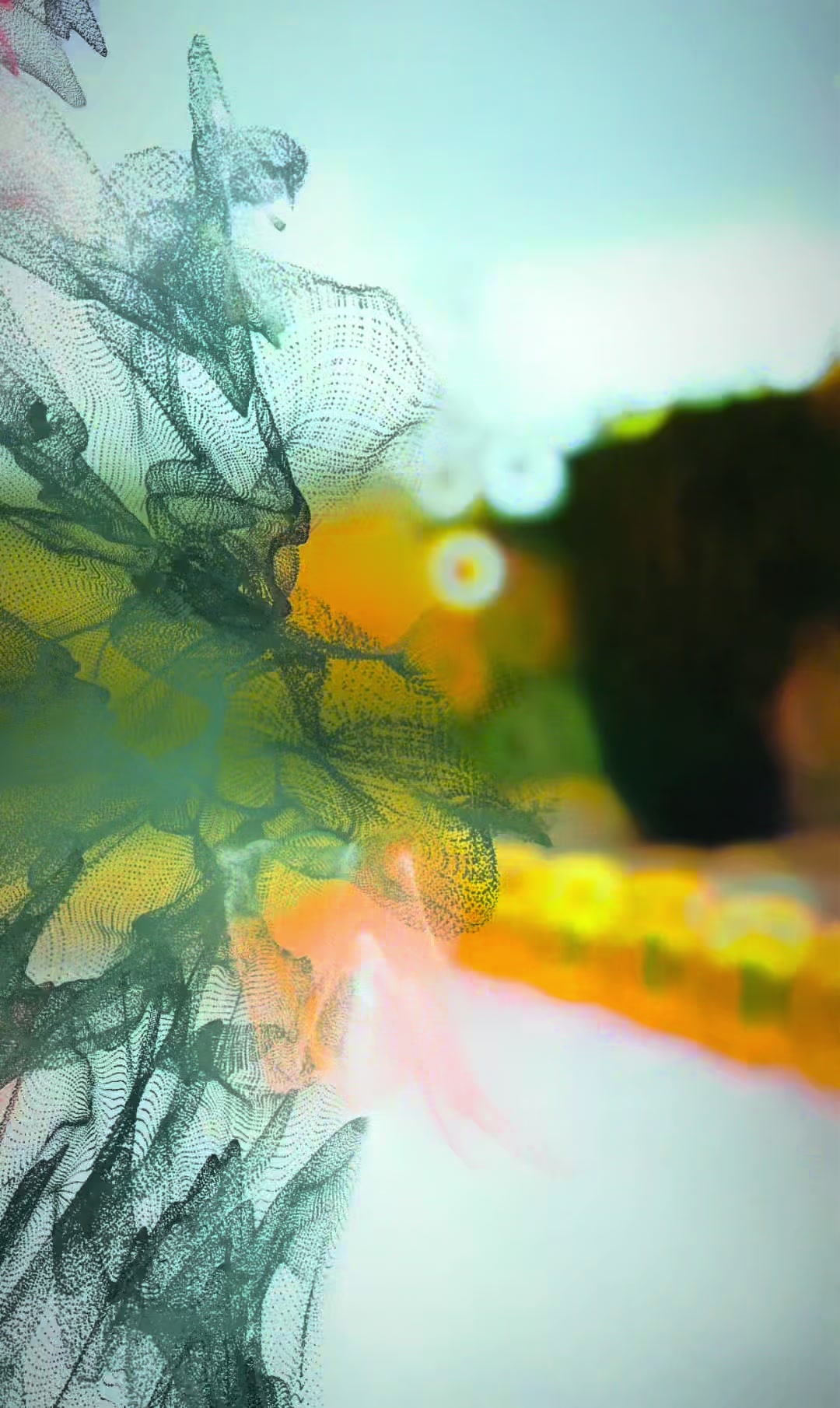 @𓂀 𝕊𝕒𝕙𝕚𝕝𝕠𝕠𝕠 𓂀