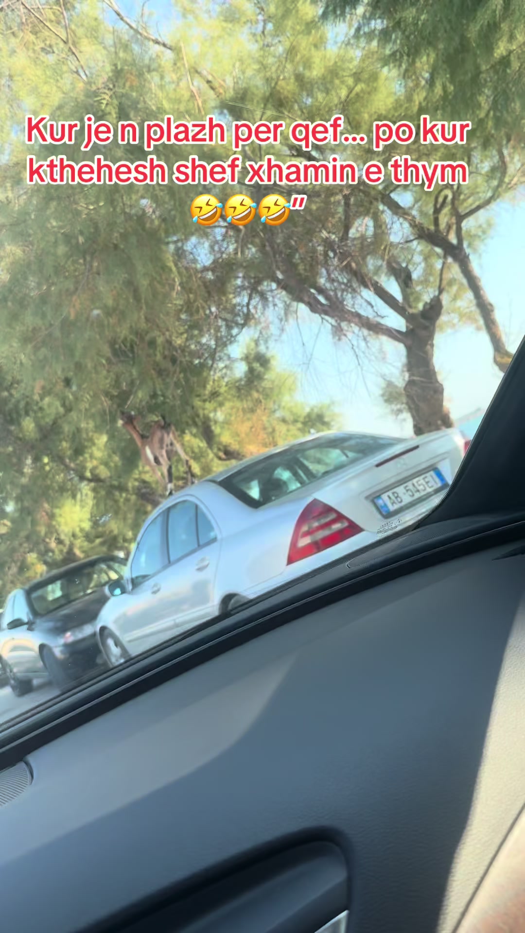 @rentcar_klevi
