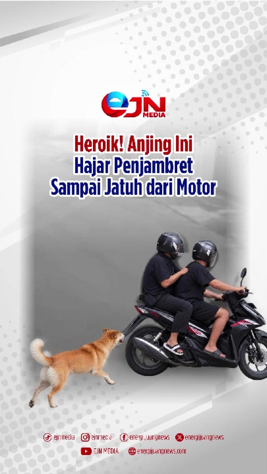 @EJN MEDIA