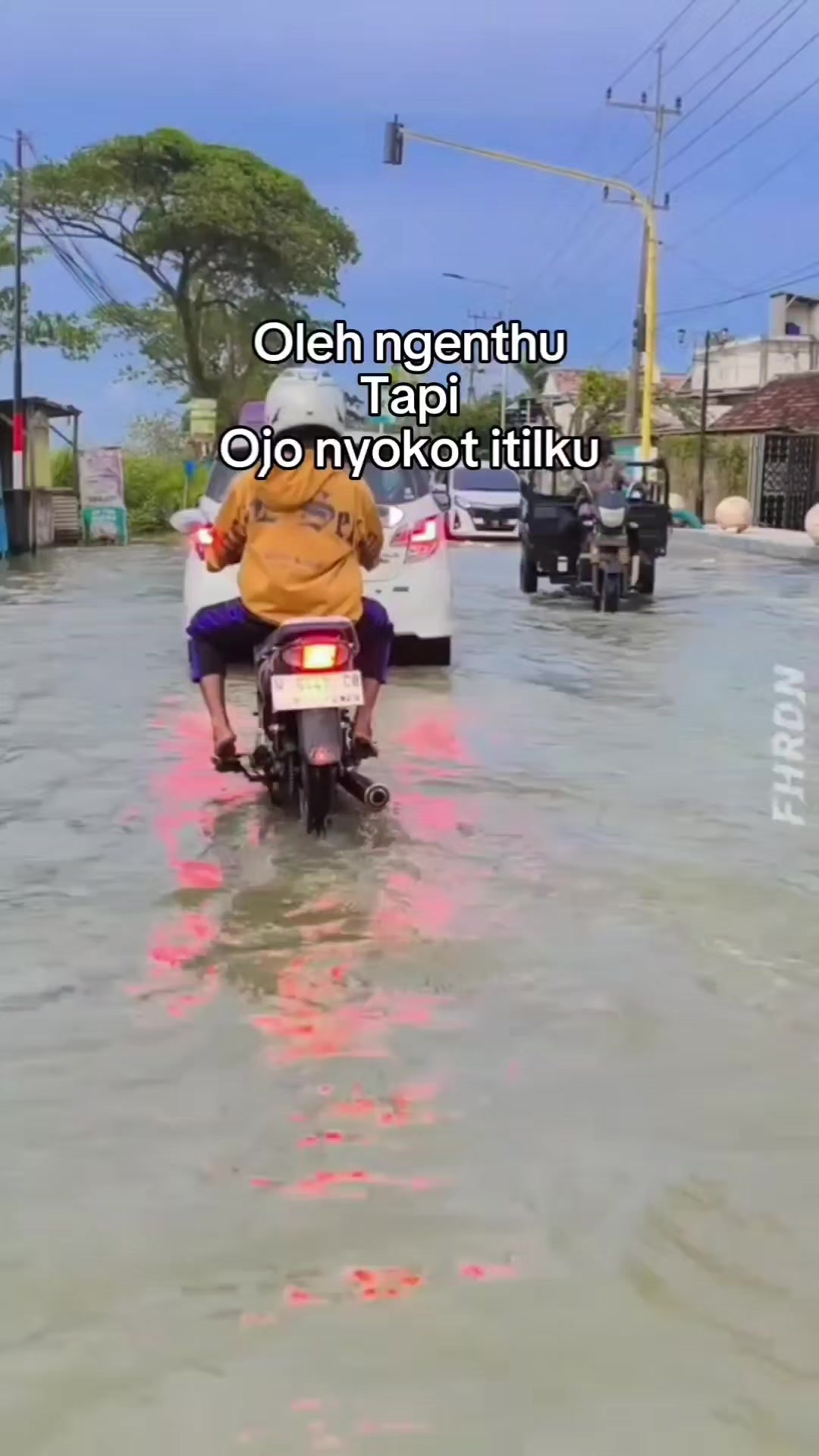 @erni