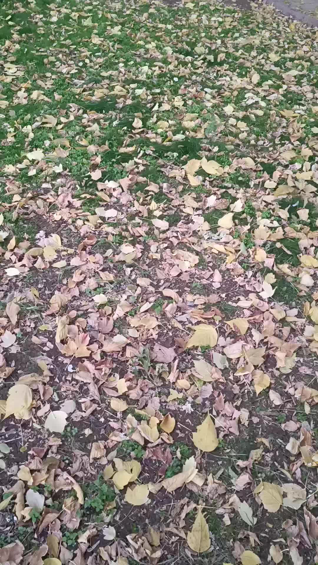 @&Ouml;ğretmenHanım🧑&zwj;🏫