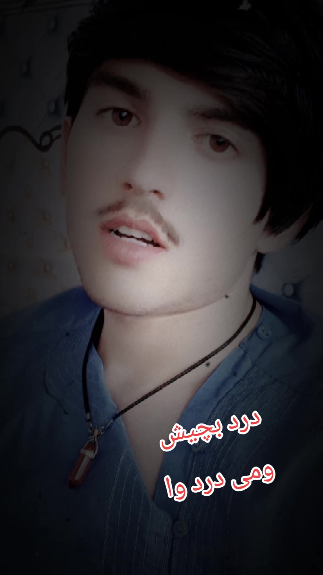 @Arman Phasha