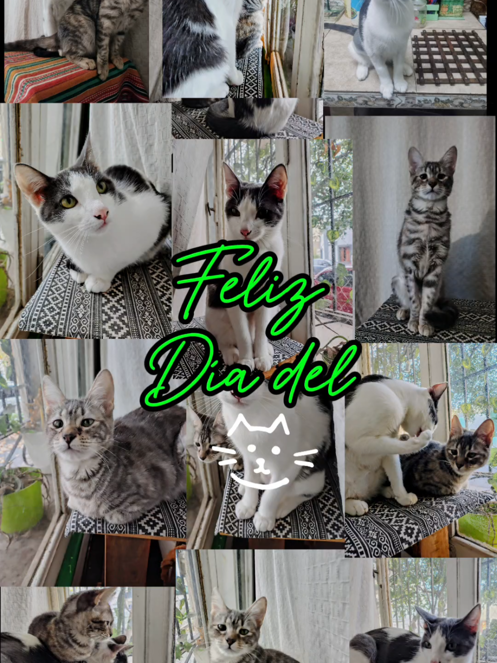 @TITA y RHODESIA