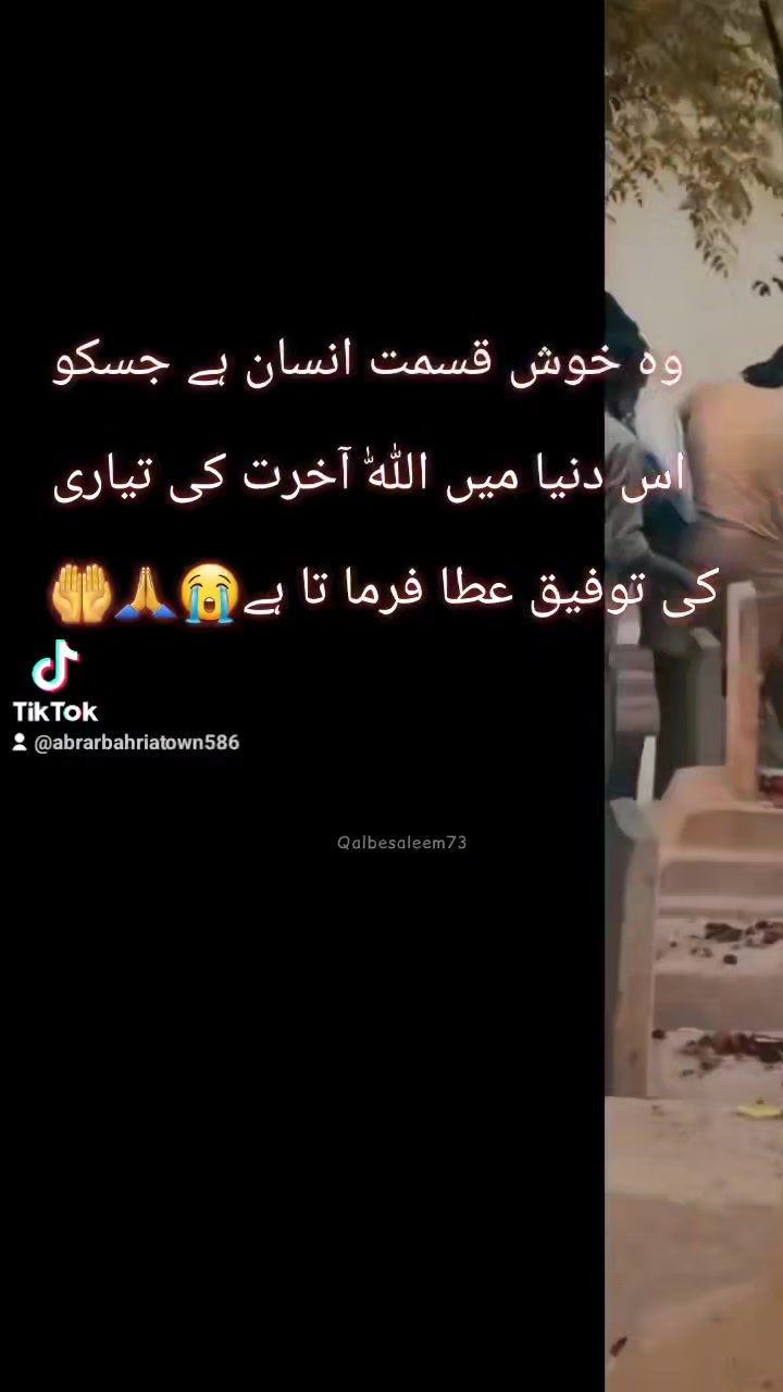 @Abrar Bahria TPN