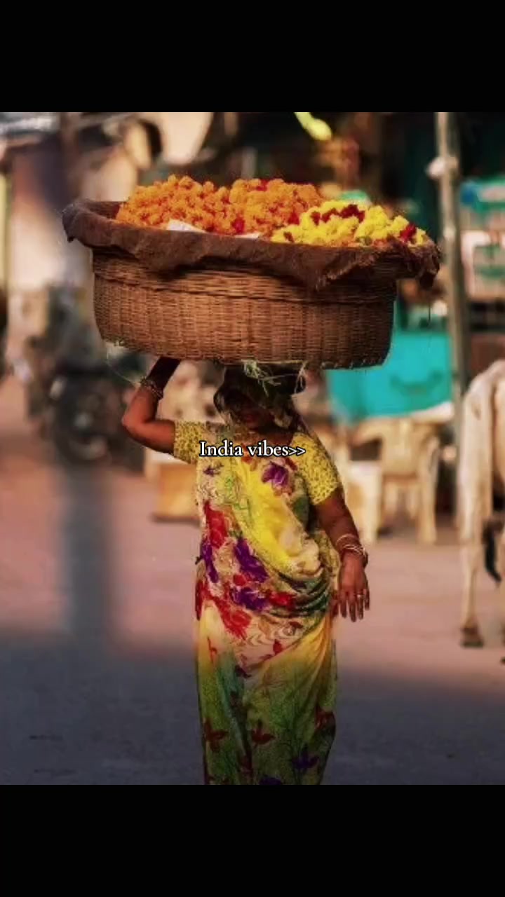 @Fr_M🍄