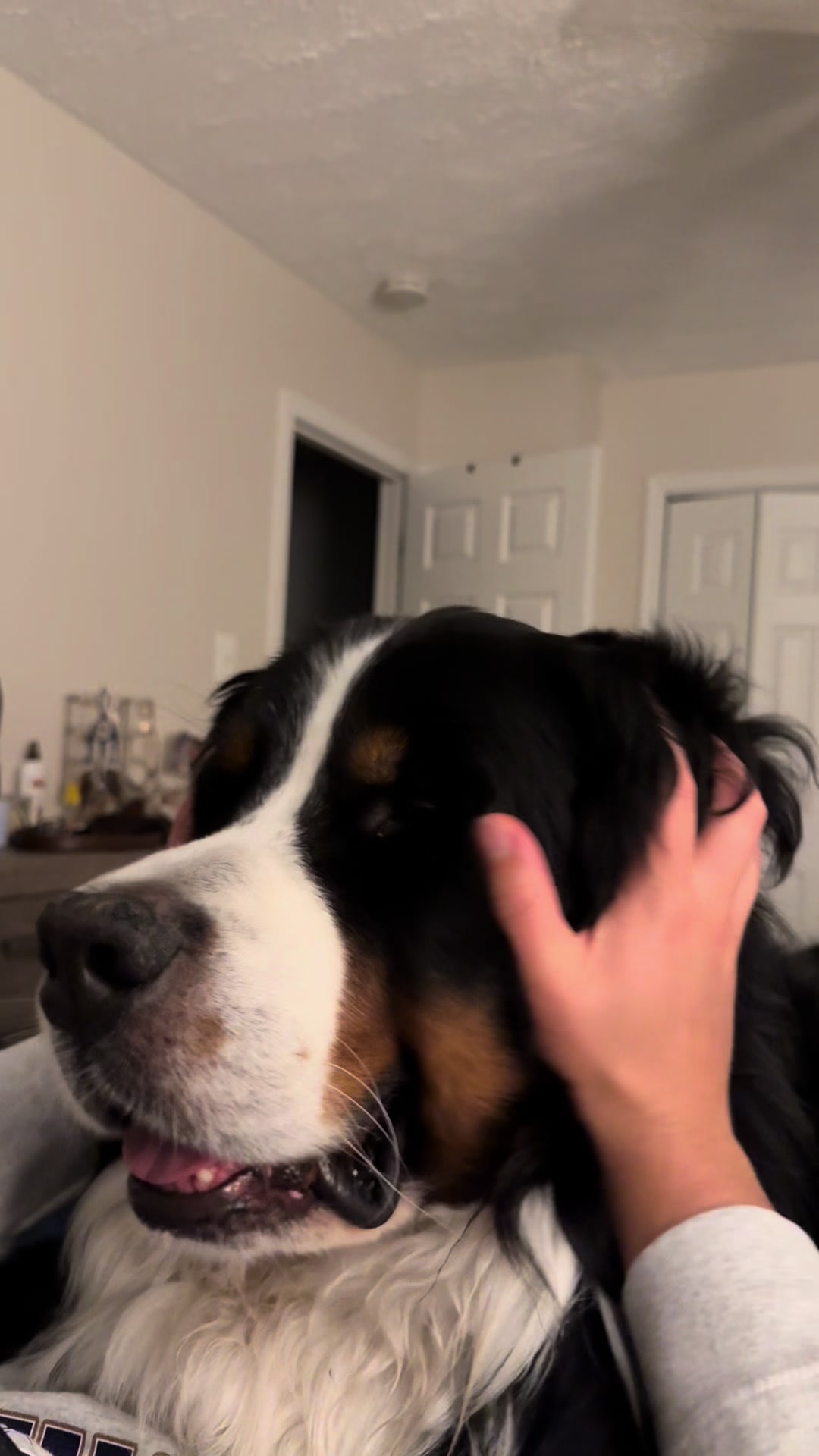 @rocky.bmd