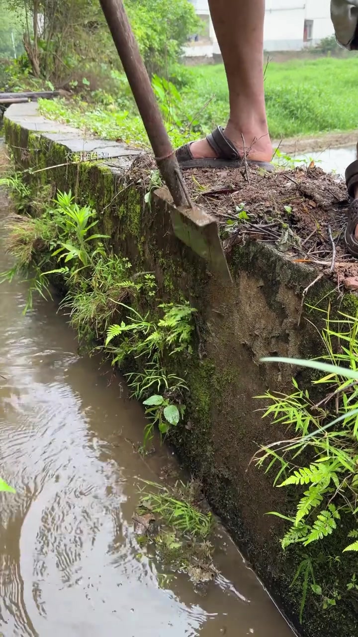 @King Tips