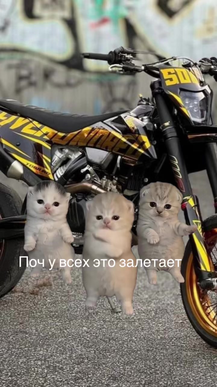 @$I love КУЛЬ$