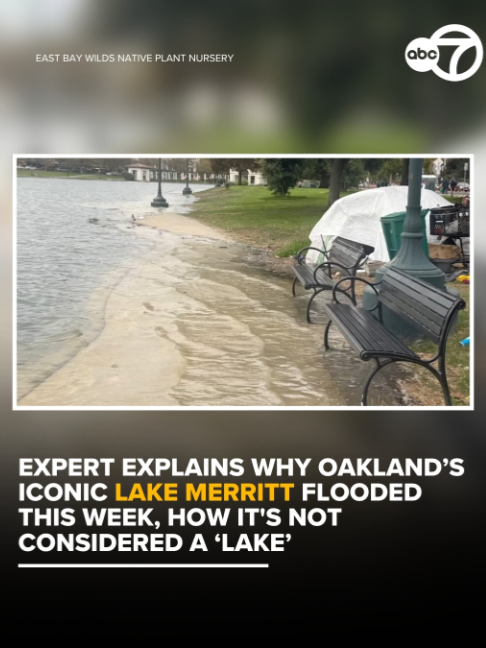 @ABC7 News