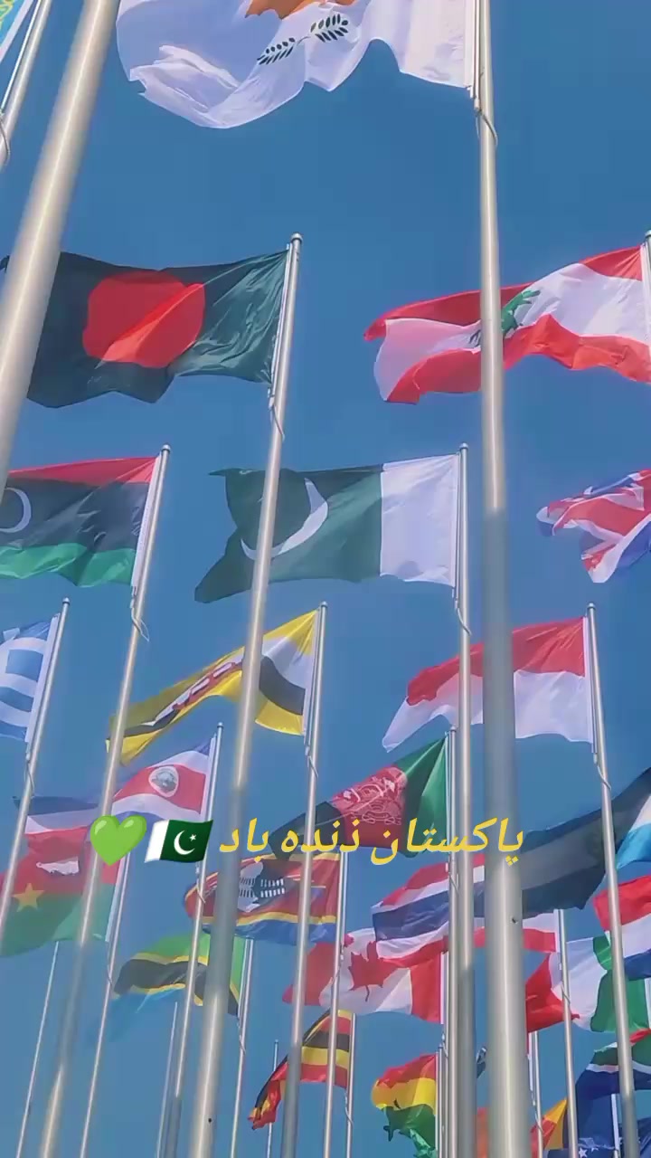 @حیدر🇶🇦