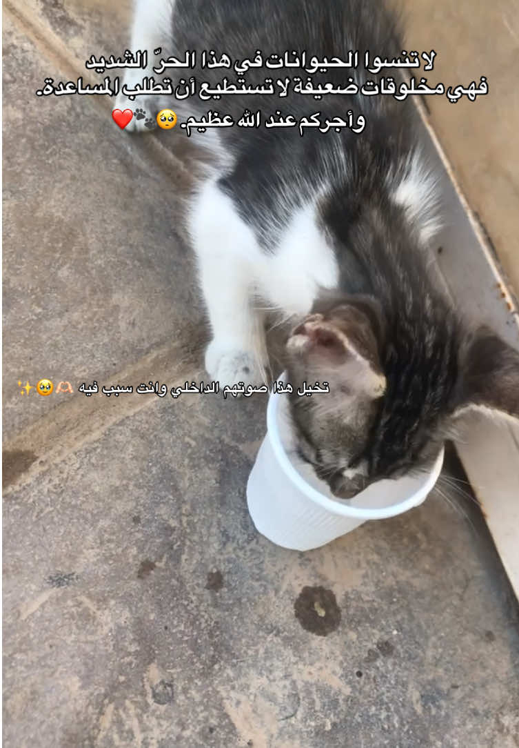 @WÏSSEM🕊