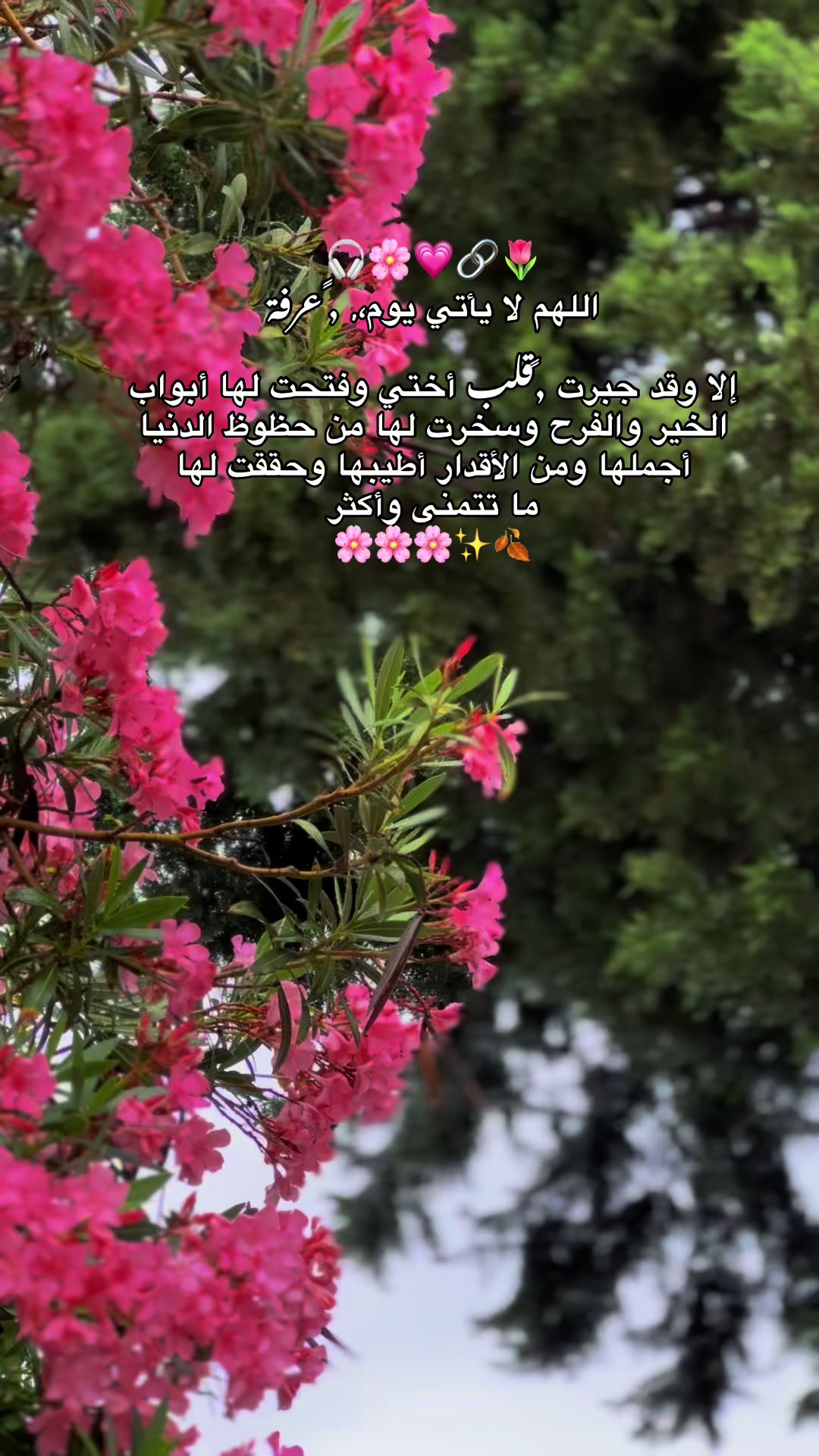 @﮼ميرا -ᗰIᖇᗩ 🎀🪐🩷