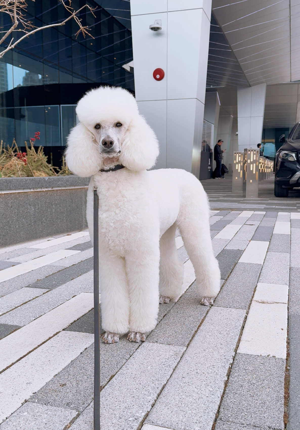 @packwalkdiaries