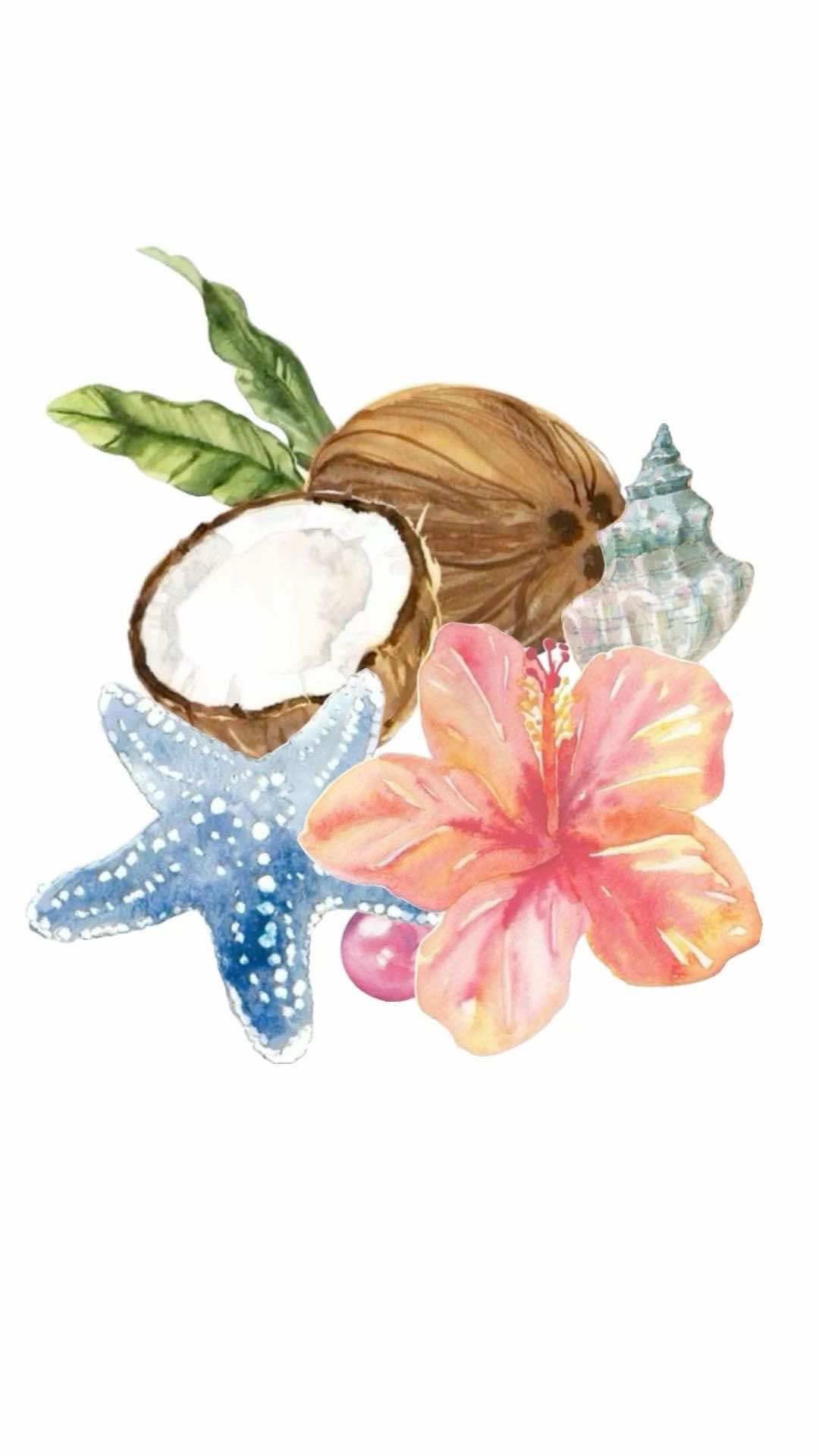 @ᴠ ɪ ᴄ ᴛ ᴏ ʀ ɪ ᴀ 🐚🌸
