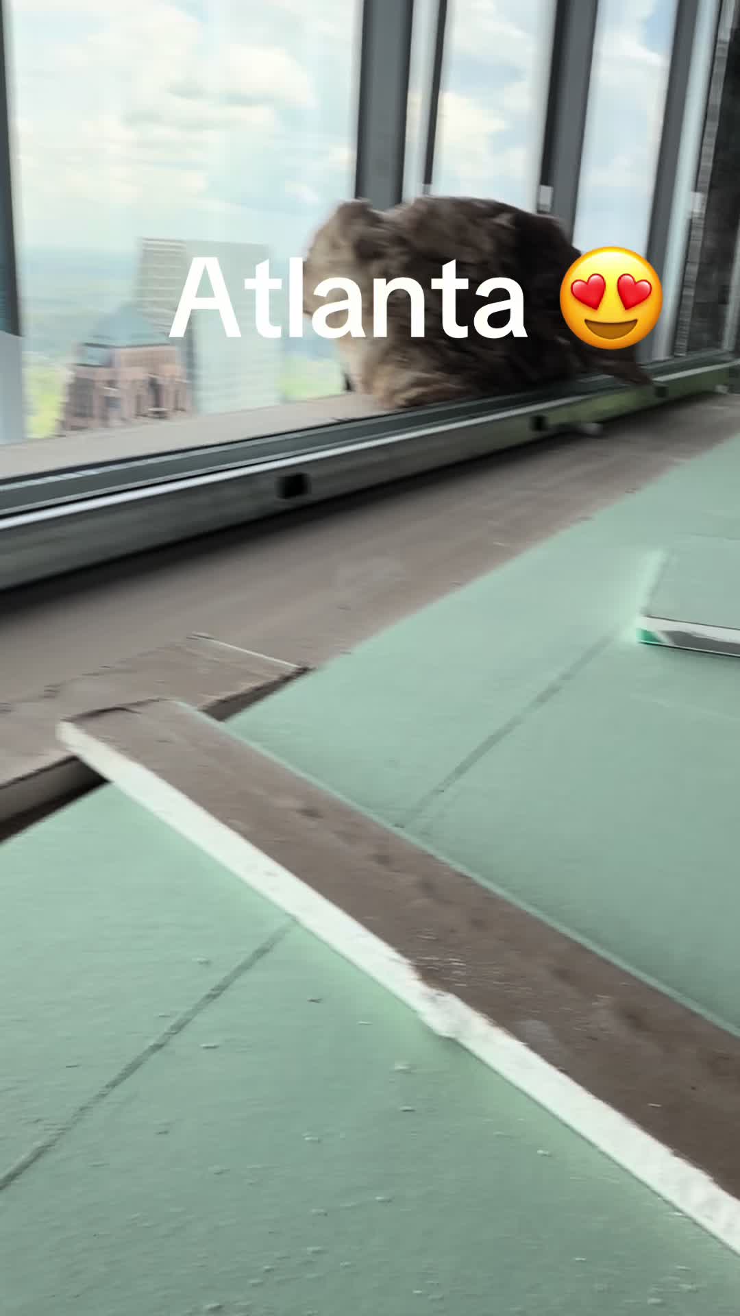 @Ani 🦋🧿📿