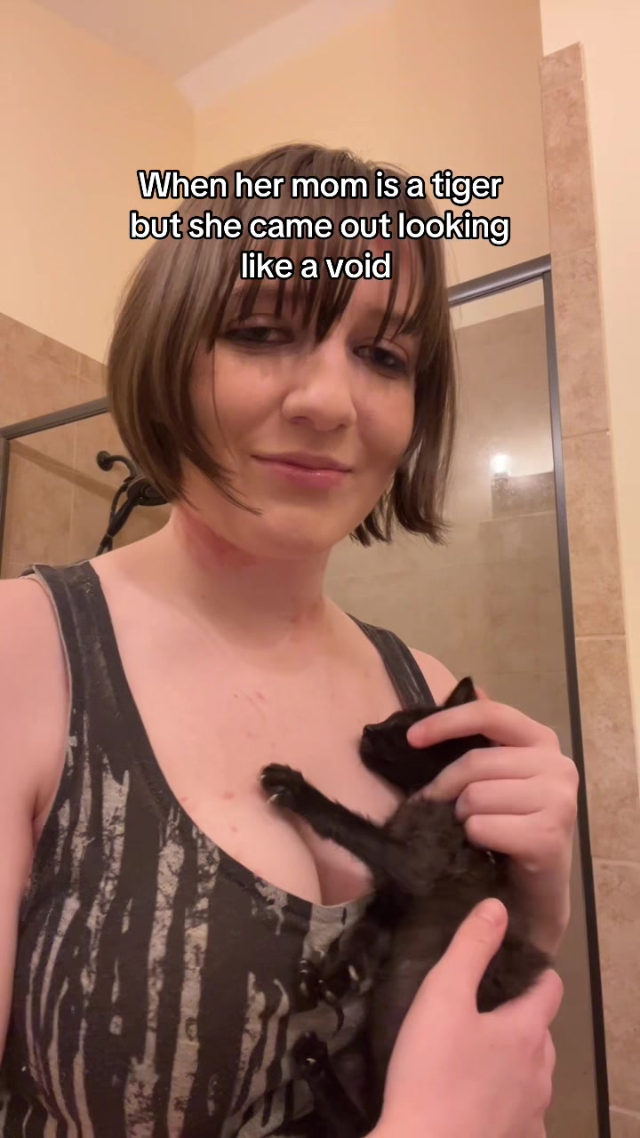 @Fox_box