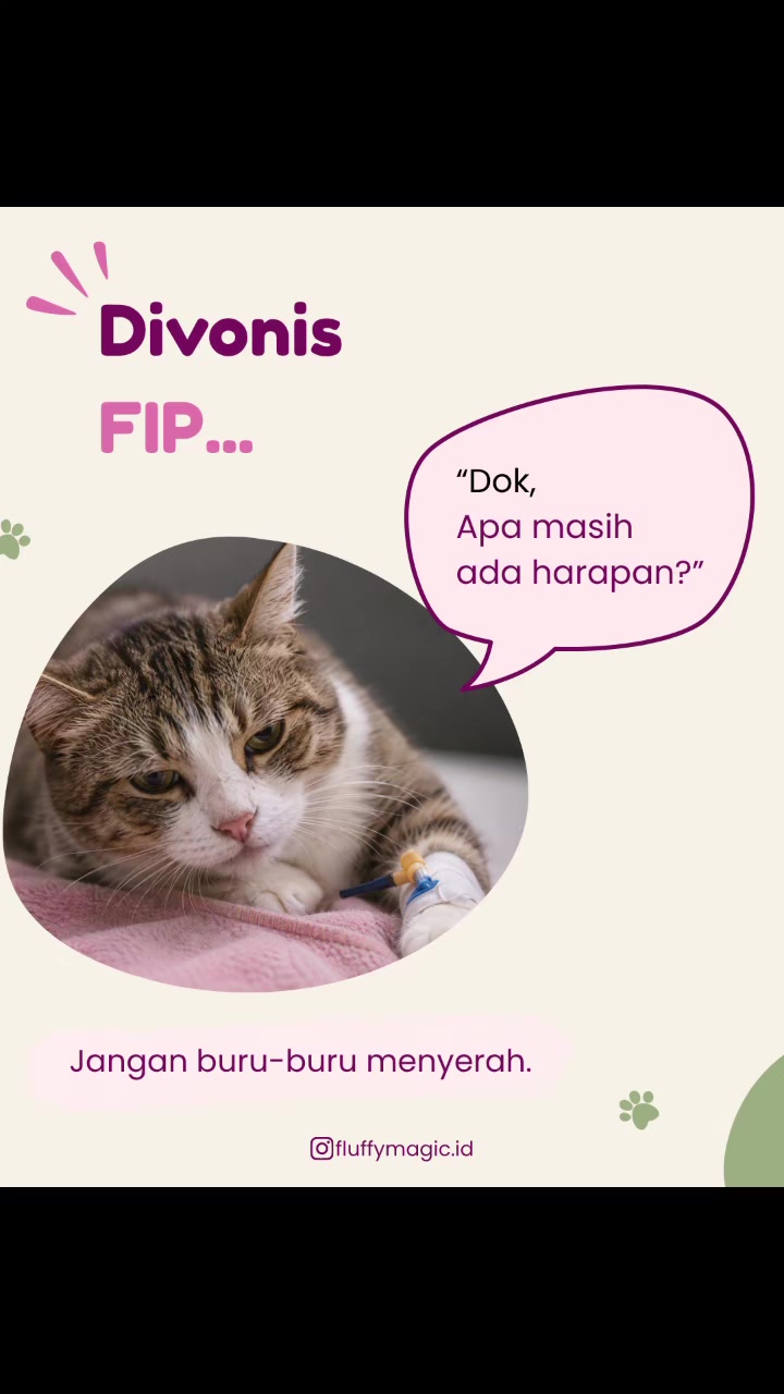 @Fluffy Magic