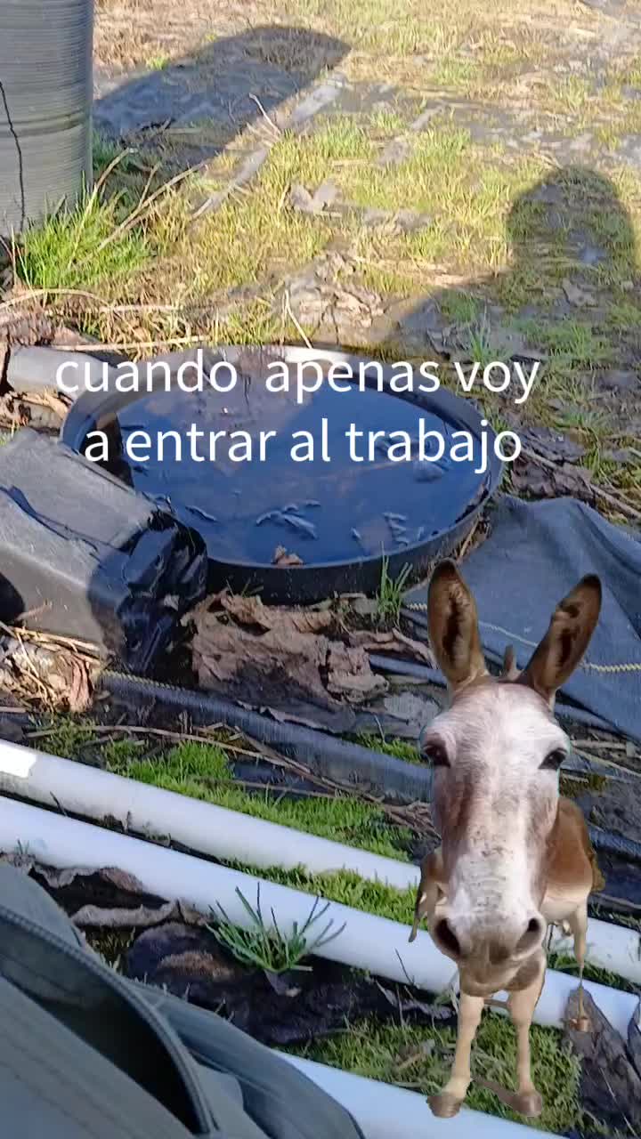 @Roberto Garc&iacute;a