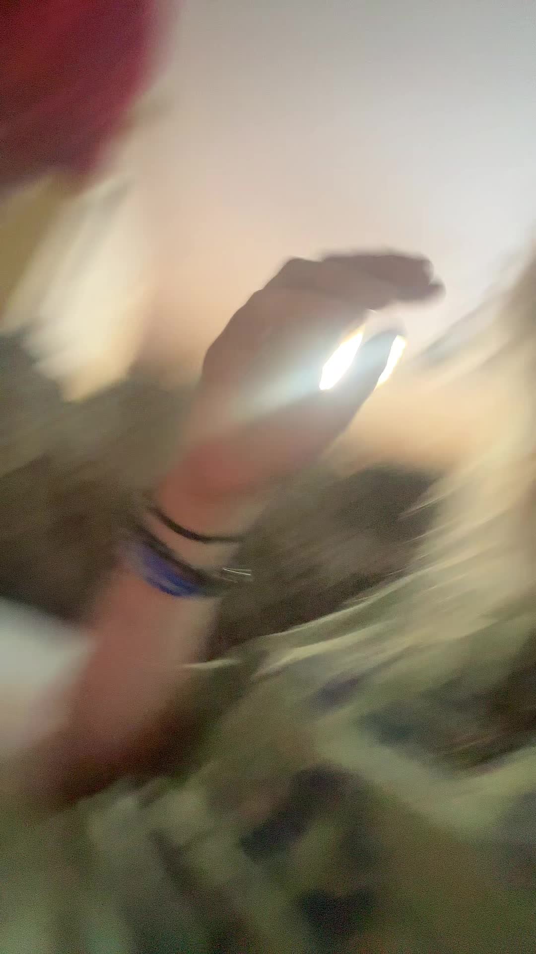 @meow