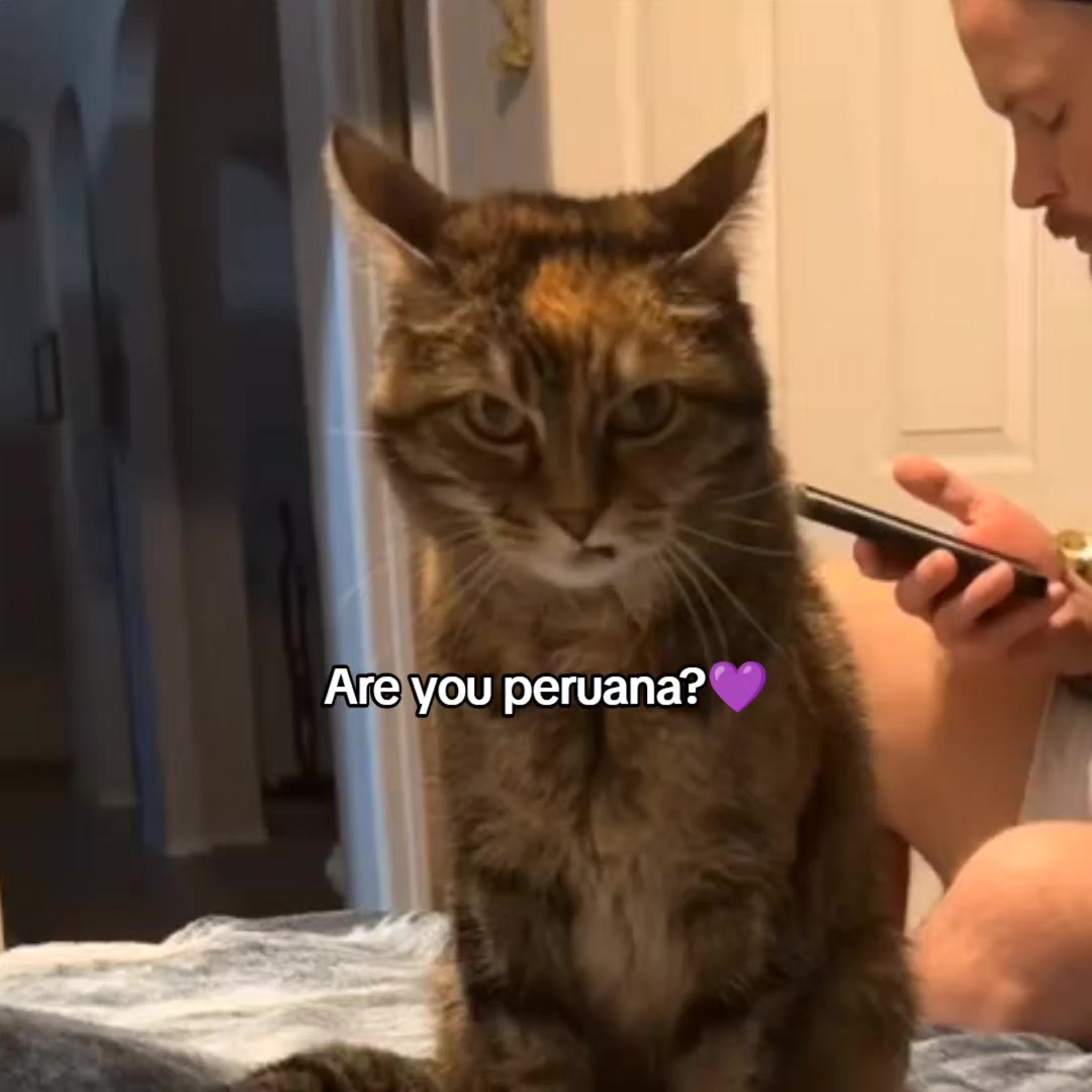 @goodvibessxd