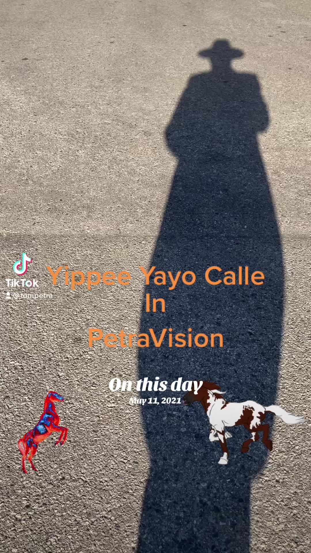 @PetraVision