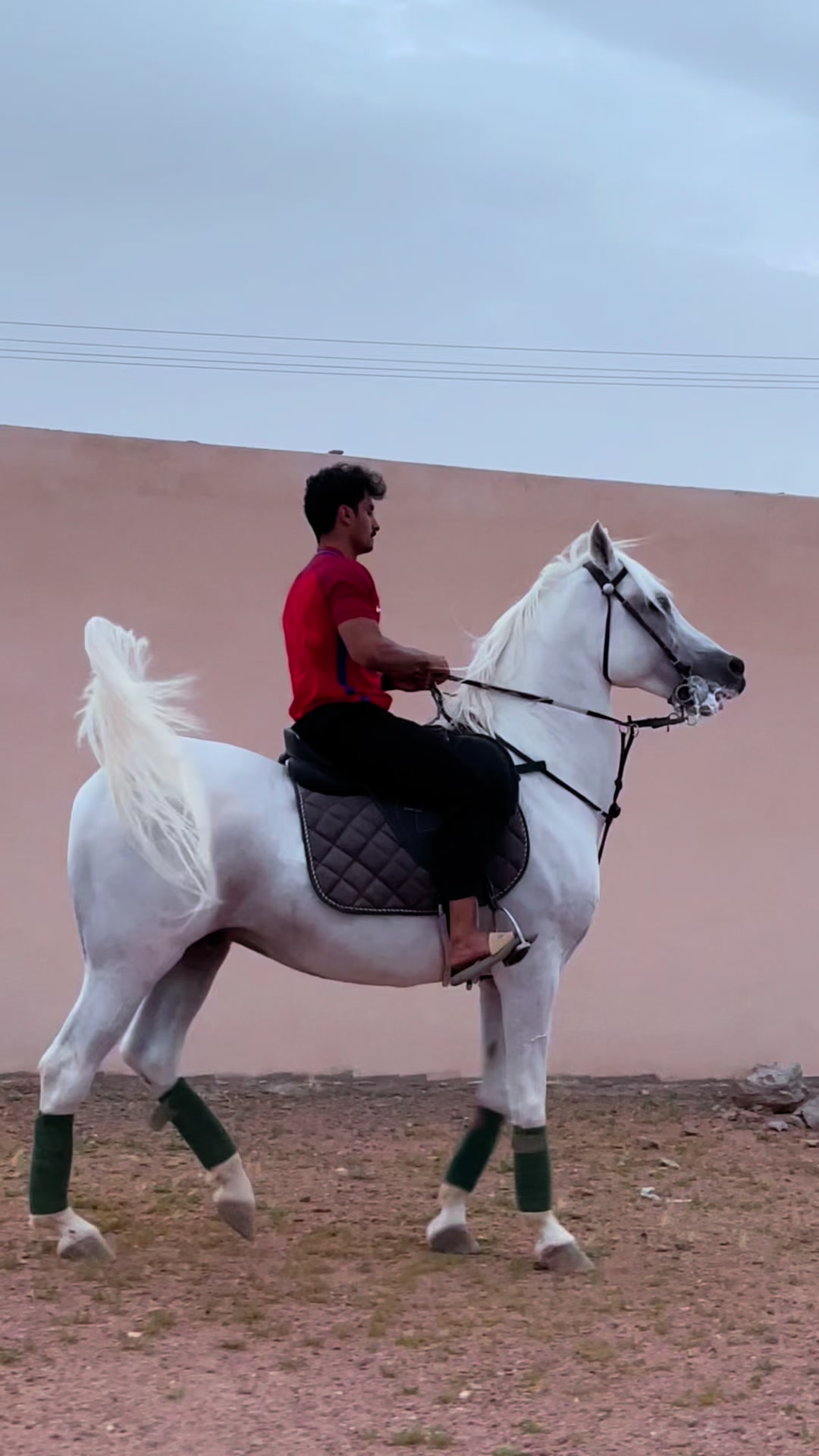 @عامر الشمري🐎