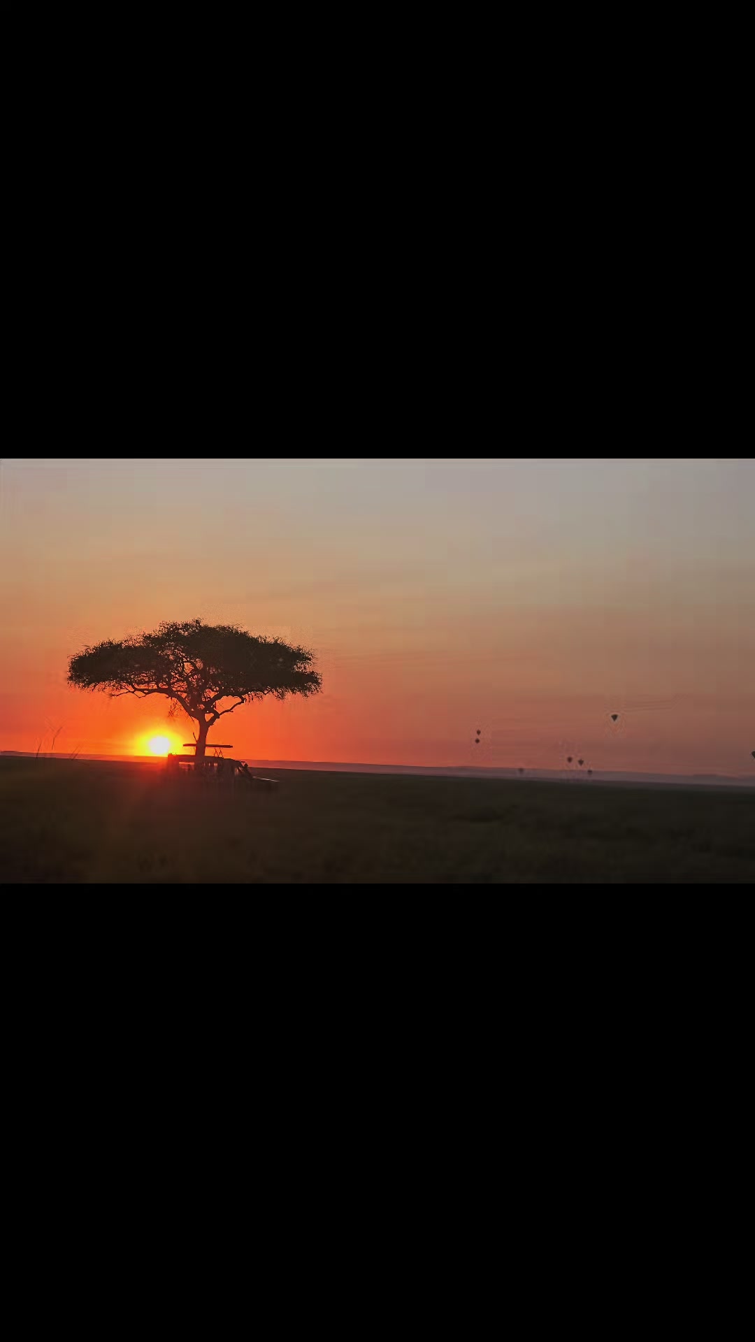 @Deno_wa_safari