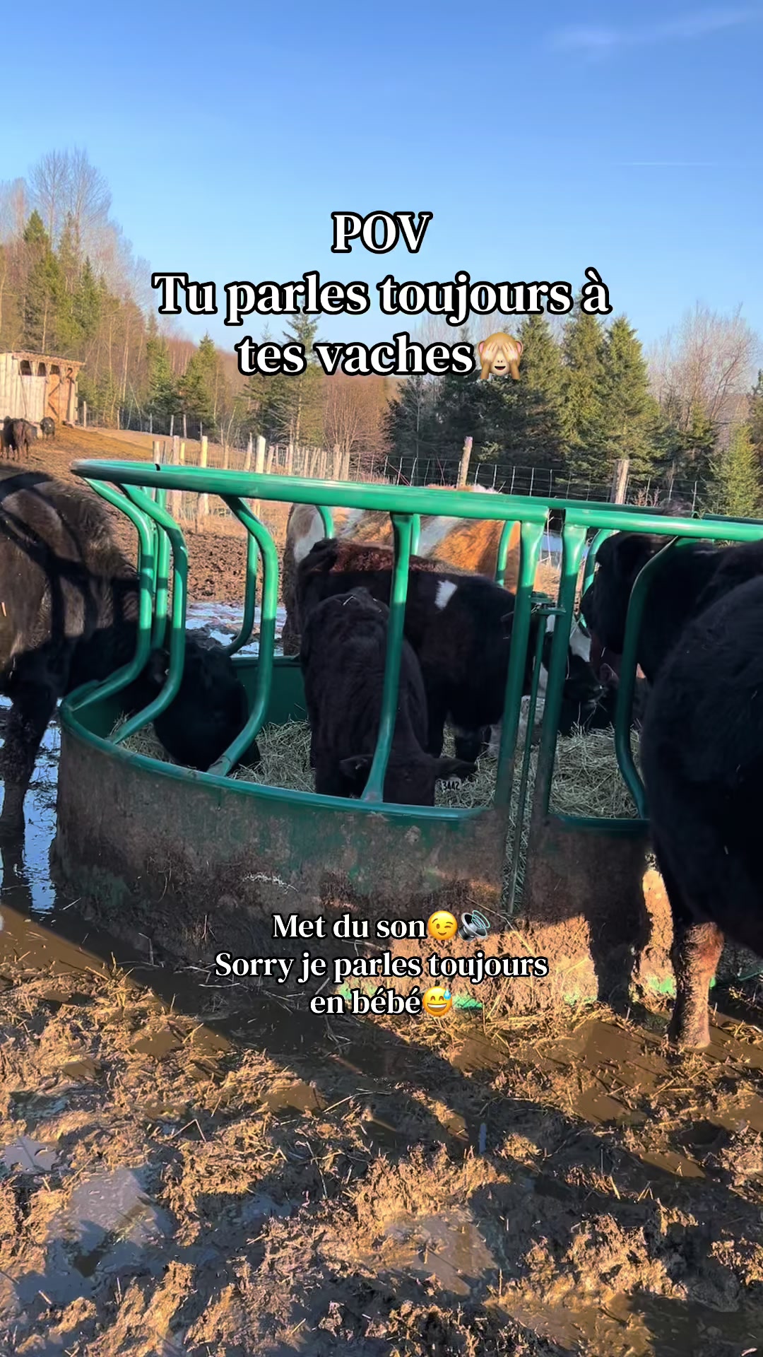 @Marilou Charest🇨🇦🐮🚜