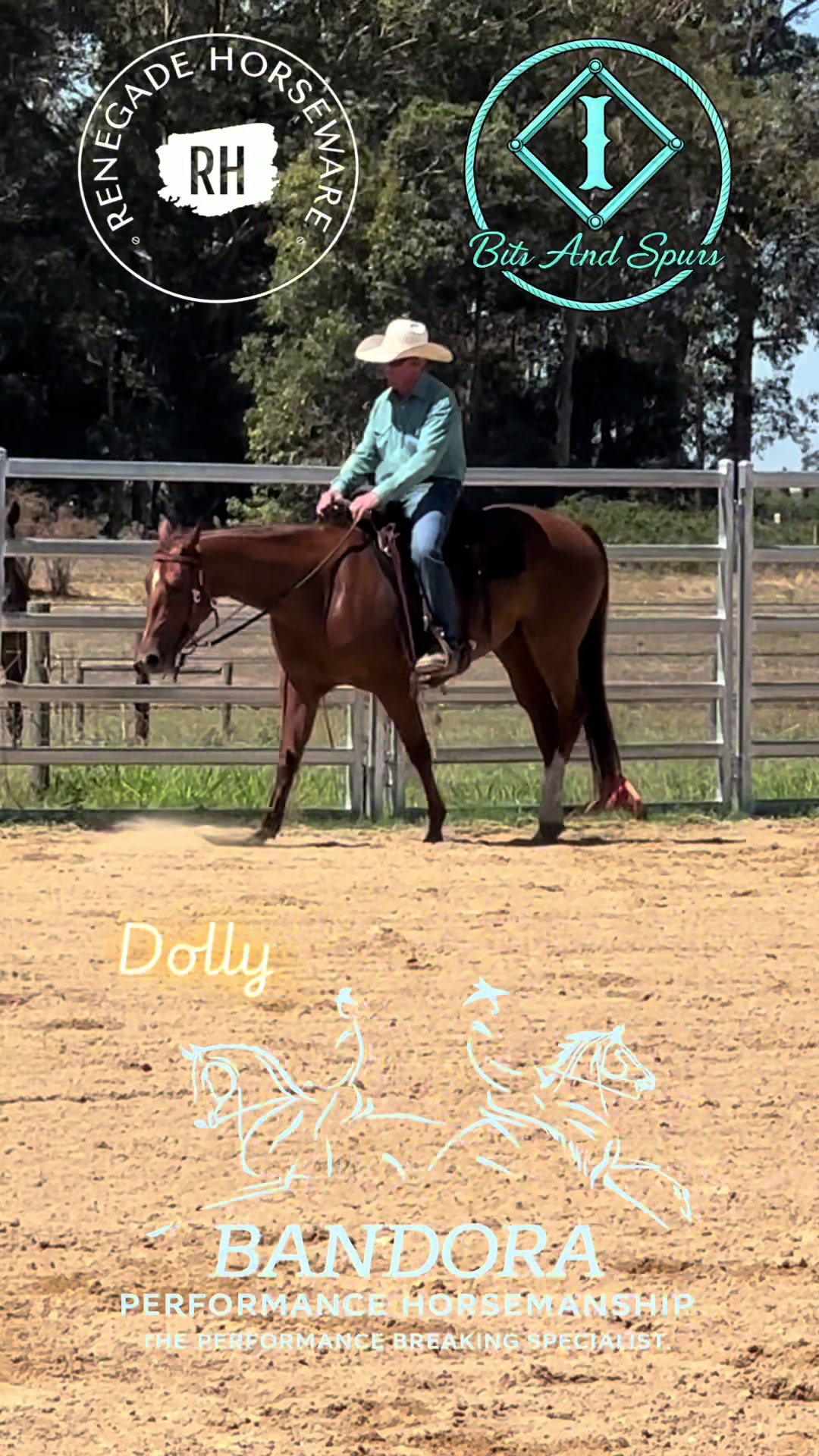 @Bandora_Horsemanship