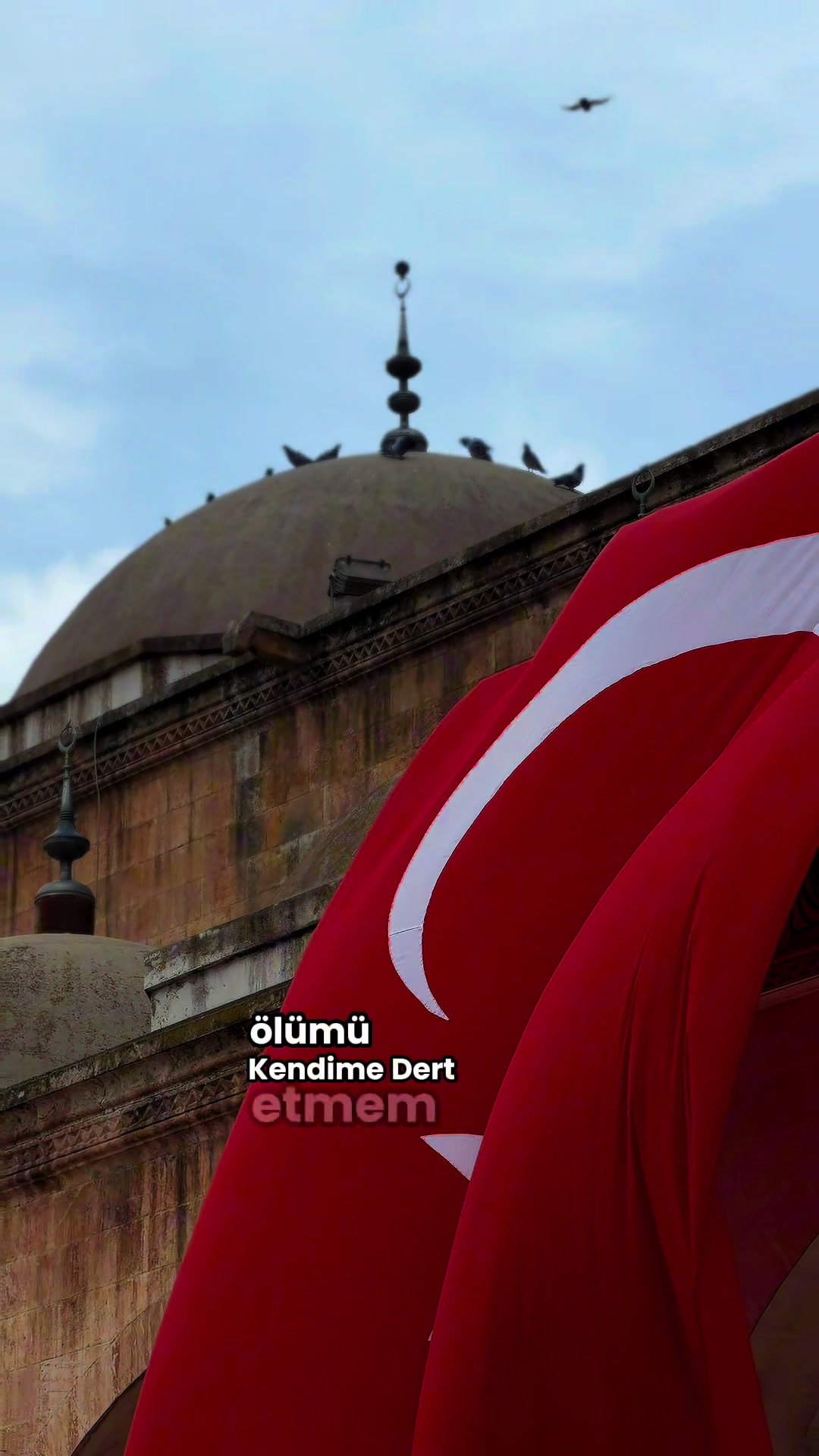 @MehmetDOGAN