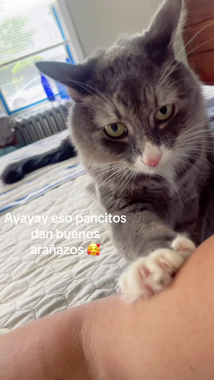 @Consuelo S