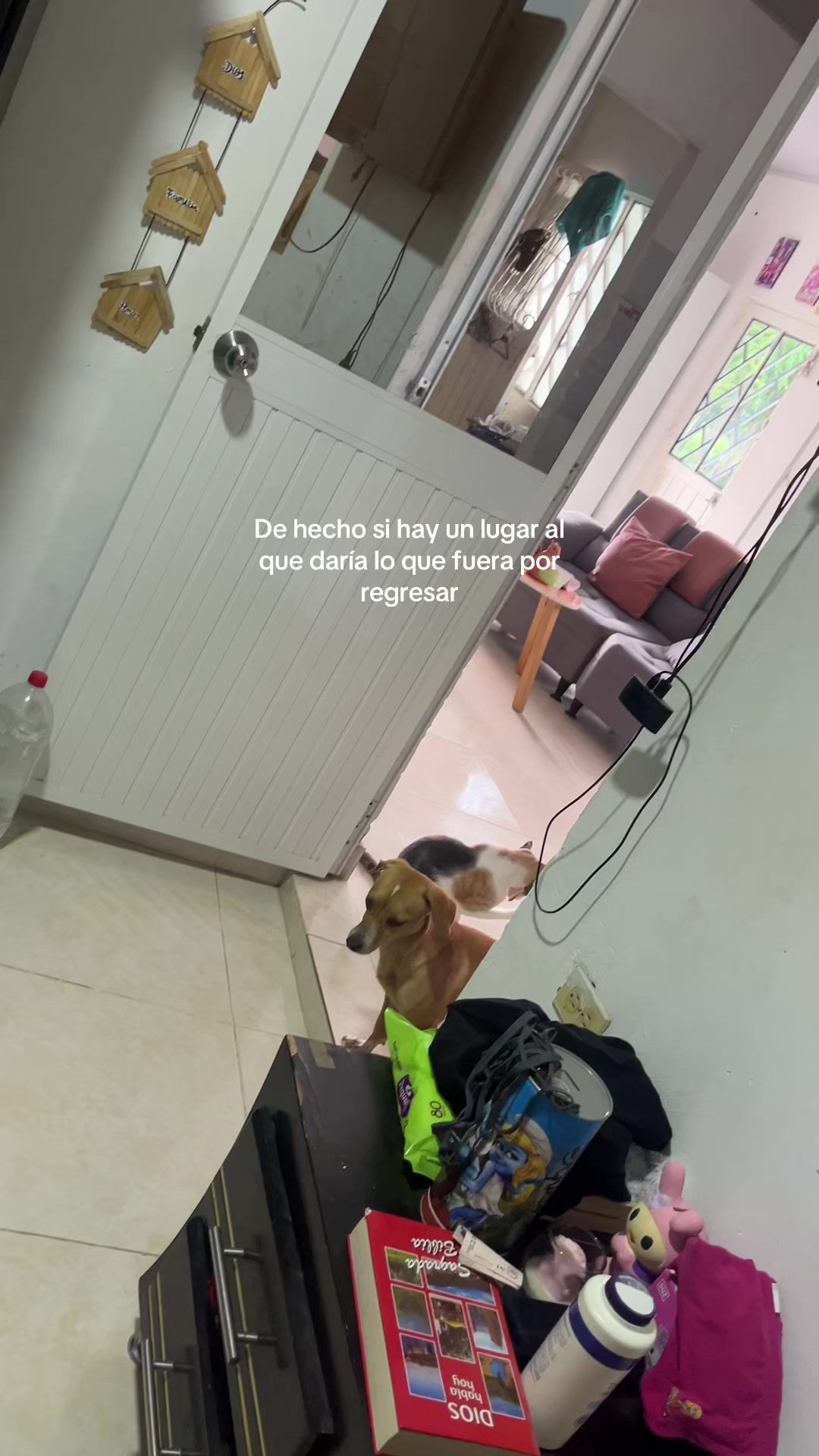 @Katerine Morales