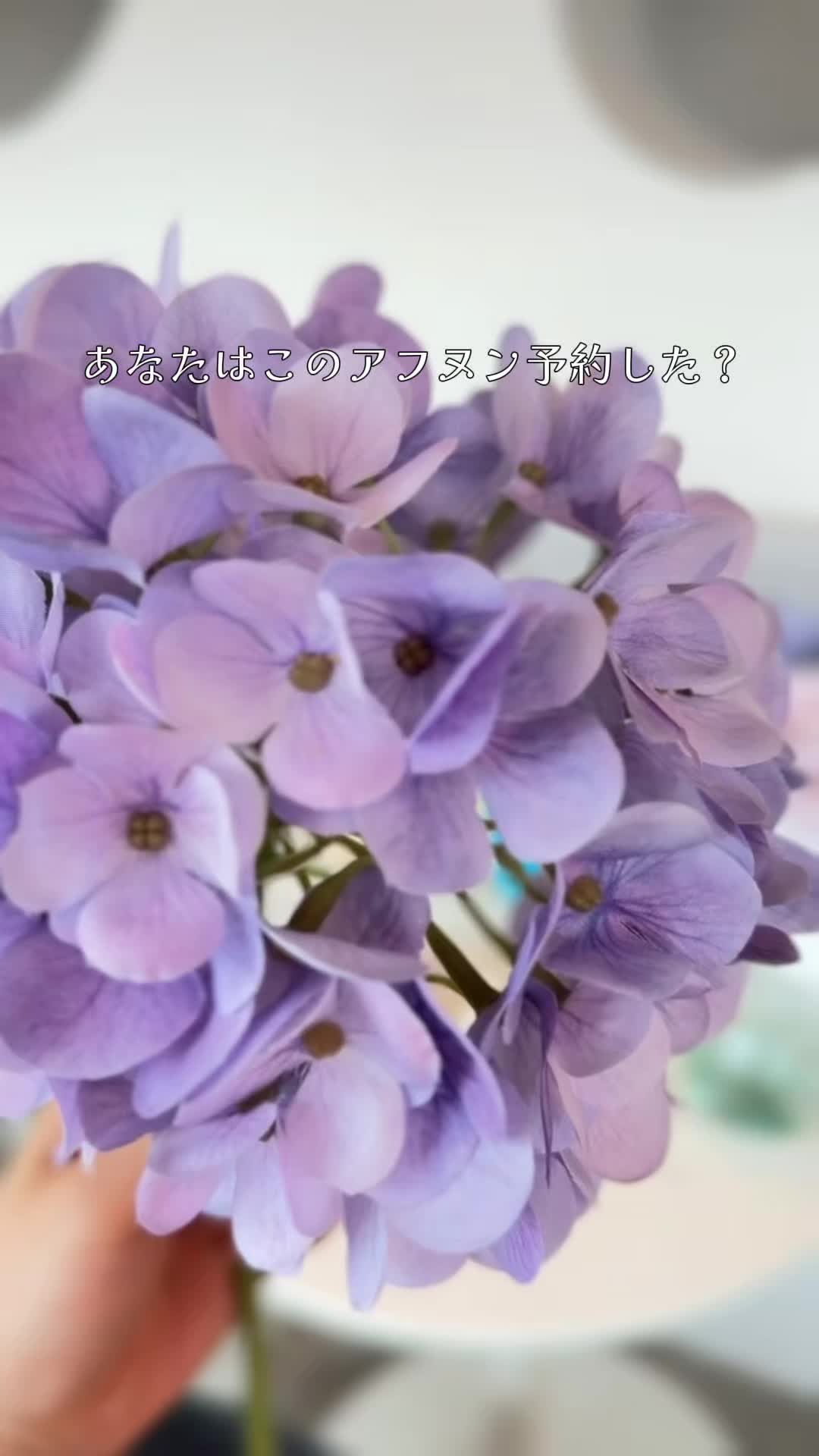 @【鎌倉カフェ】DRESSY CAFE KAMAKURA