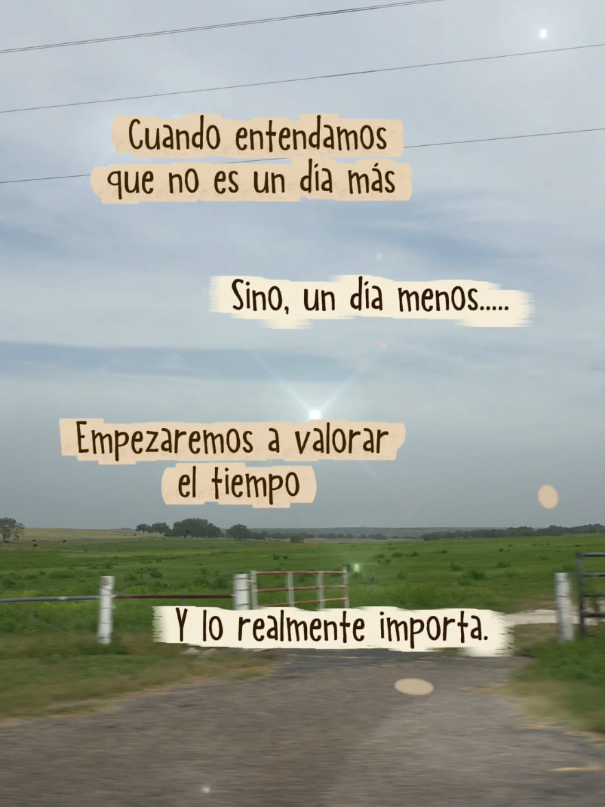 @doly.dfn