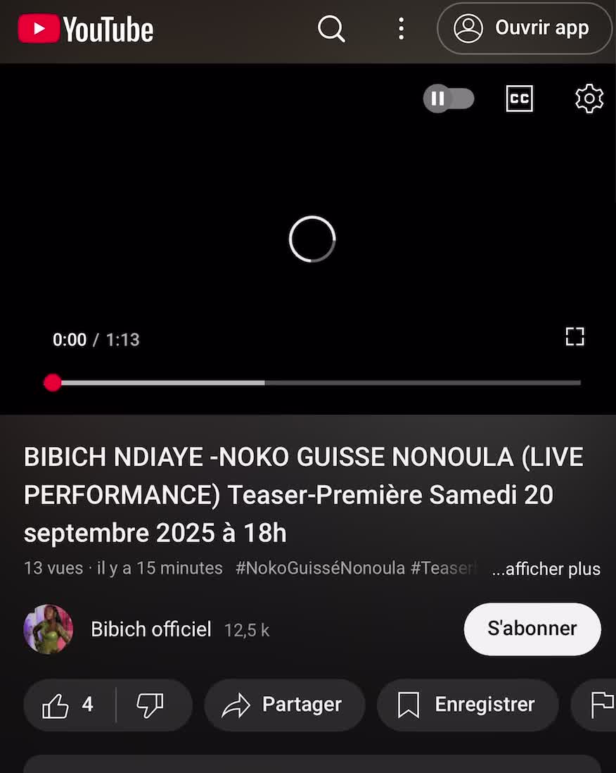 @bibich.ndiaye.off