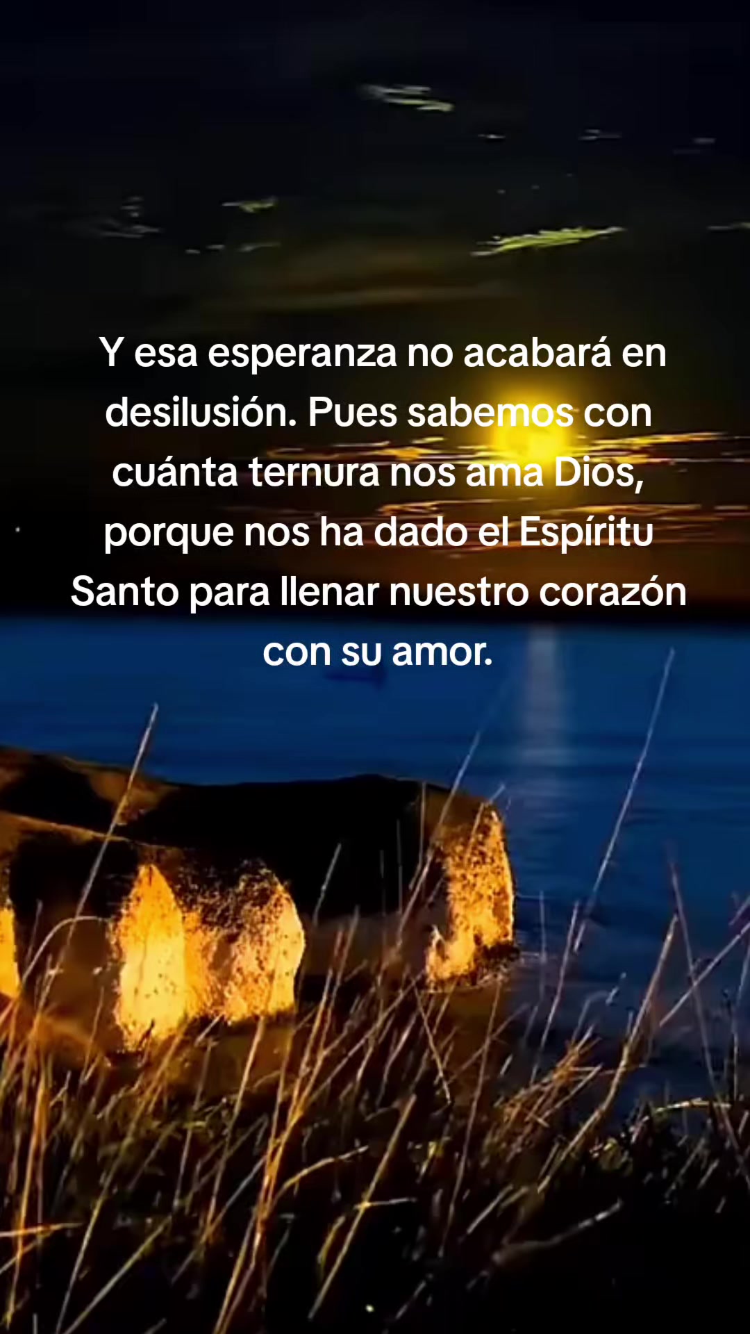 @Elfego Lopez