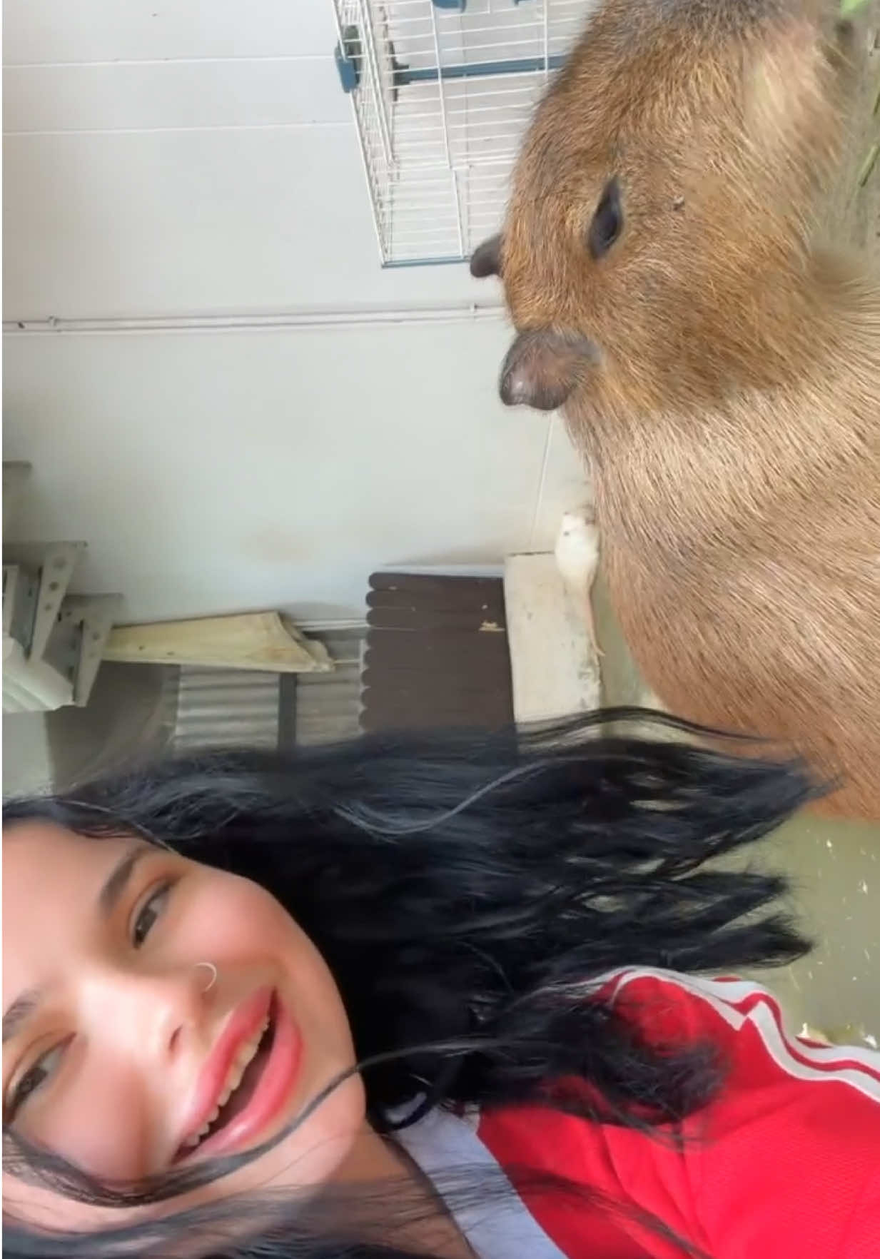 @beyzoşş